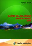 Batam Dalam Angka 2015