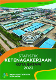 Statistik Ketenagakerjaan Kota Batam 2022